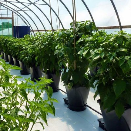 1Pot XL system 1Pot XL system