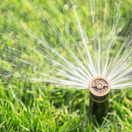 Wassertimer unter anderem von Smscom, Davin Wassertimer unter anderem von Smscom, Davin