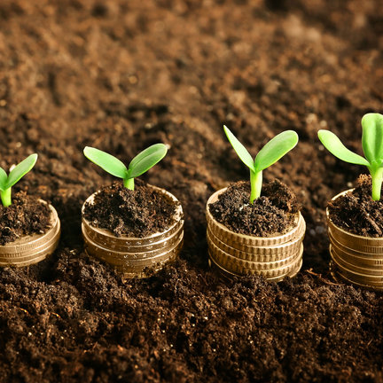 Plantenvoeding & boosters