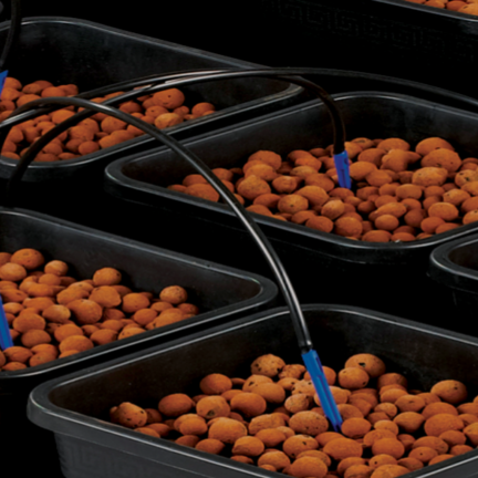 Wilma growing systems in various shapes and sizes Wilma growing systems in various shapes and sizes