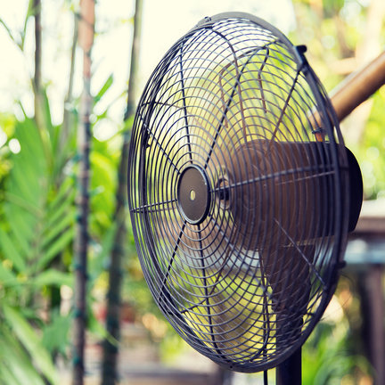 Fans Fans