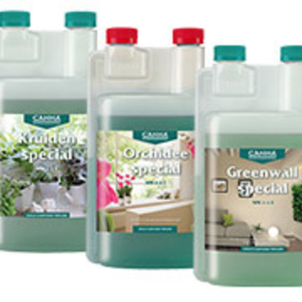 Canna specials Canna specials
