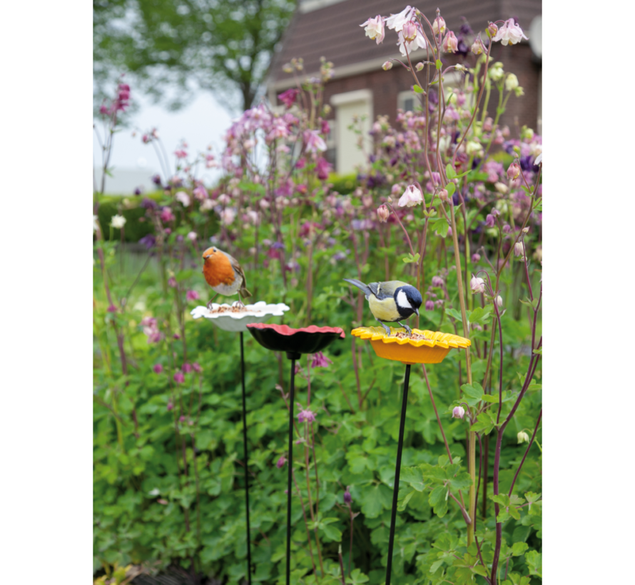 Buzzy Bird Gift Poste de Alimentación para los Pájaros Amapola