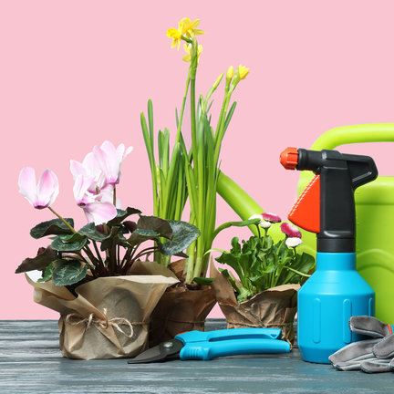 Grow supplies