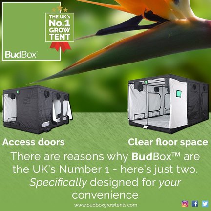 Budbox GT Series Grow Tent Budbox GT Series Grow Tent