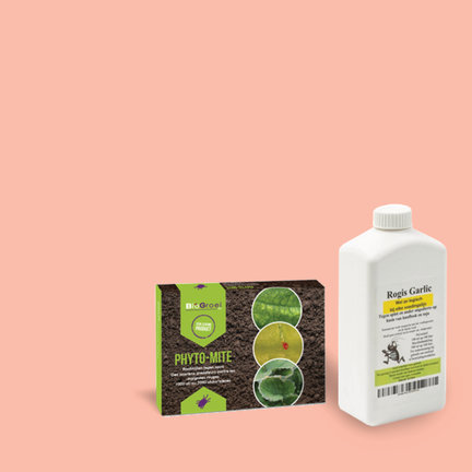 Pesticides and insects for protecting your crops and plants Pesticides and insects for protecting your crops and plants