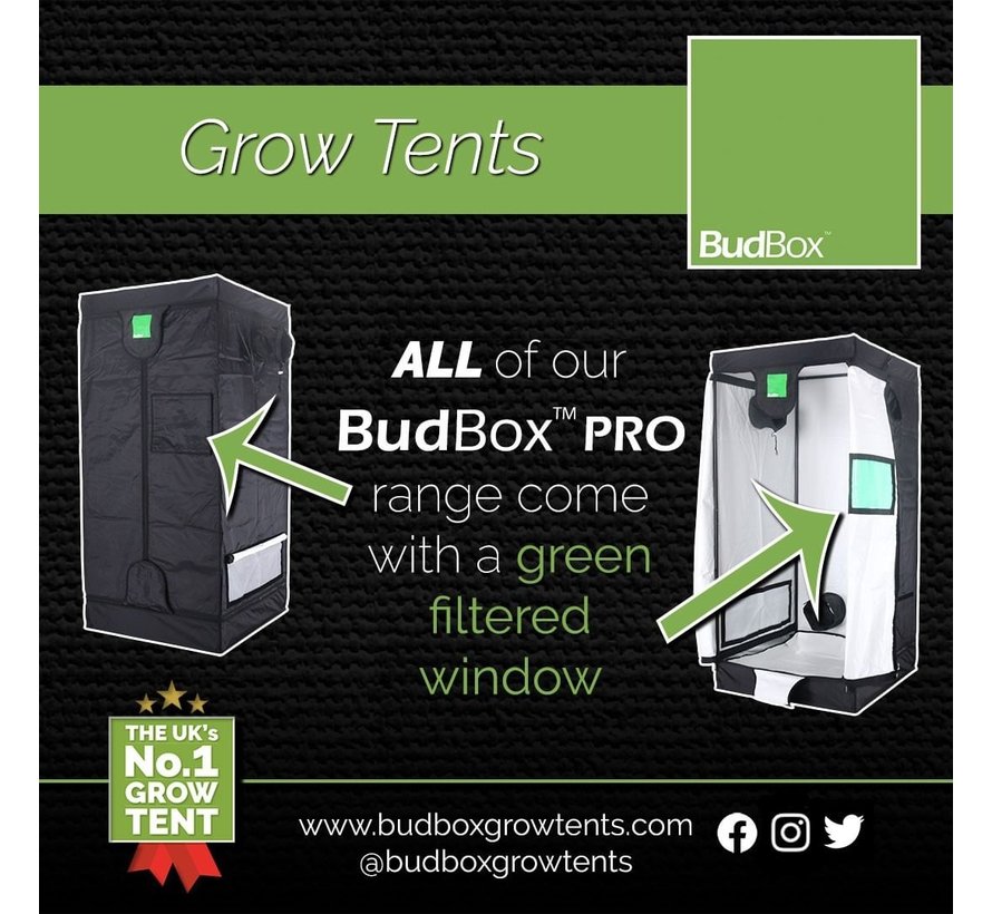 BudBox Pro XL HL Grow Zelt Weiß 120x120x220 cm