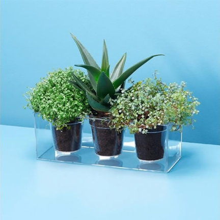 Jardineras y mesas de cultivo para la cocina Jardineras y mesas de cultivo para la cocina