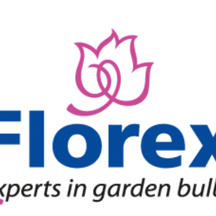 Florex Florex