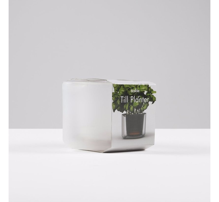 Boskke Till Planter Flower Pot 12 cm Transparent