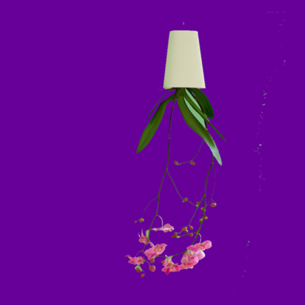 Hanging flower pots by Boskke and hanging baskets by Gardman Hanging flower pots by Boskke and hanging baskets by Gardman
