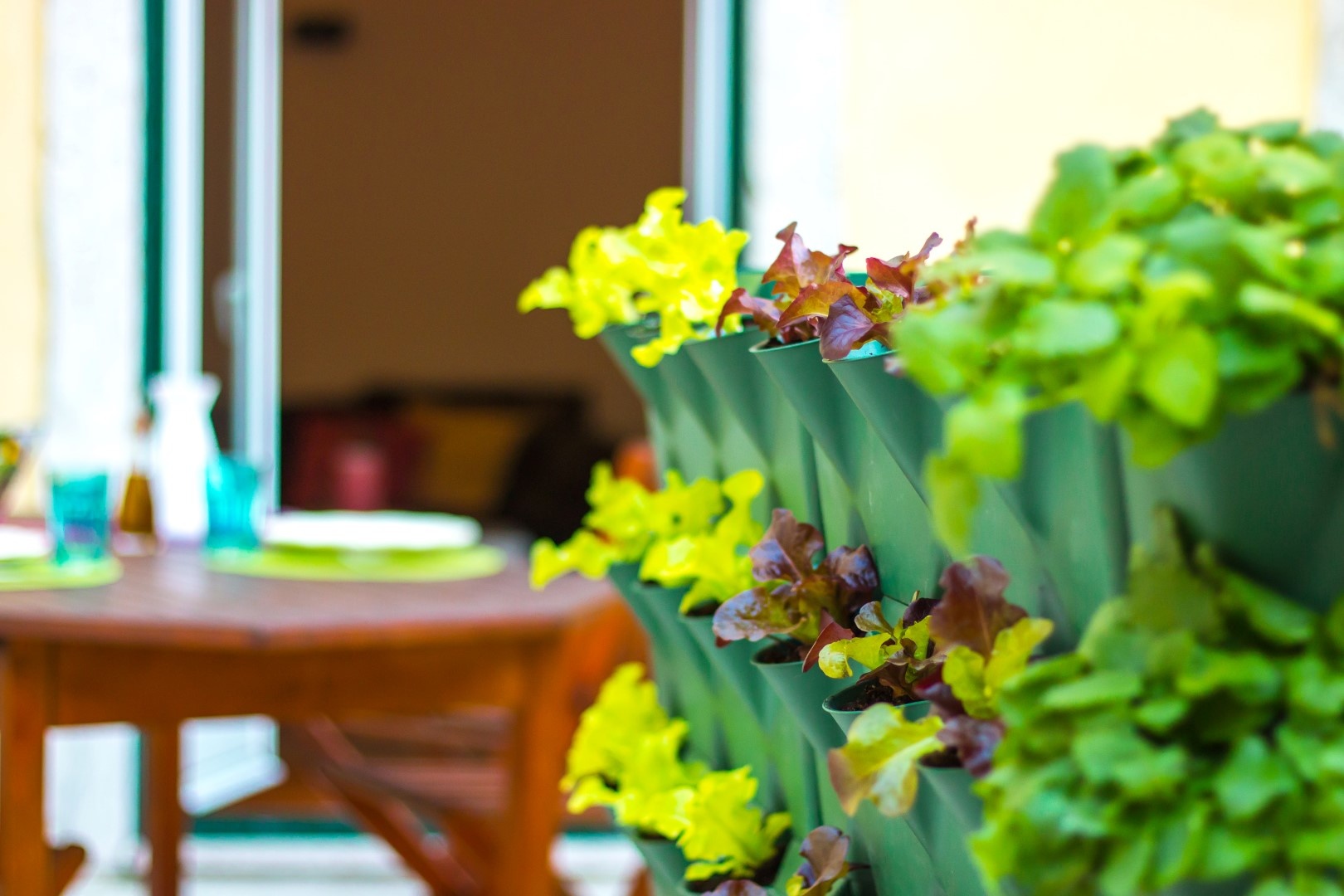 Minimalist Vertical Garden In Kitchen for Small Space