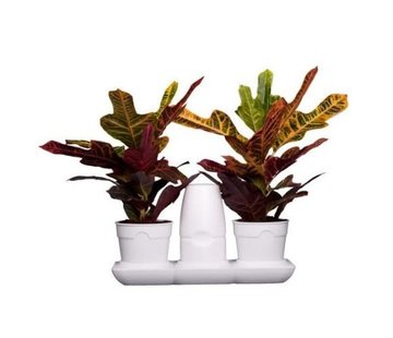 Minigarden Basic S Pots Blumentopf Weiß
