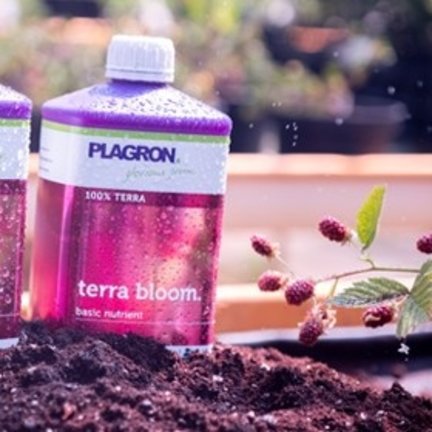 Plagron 100% terra basis nutrients & media Plagron 100% terra basis nutrients & media