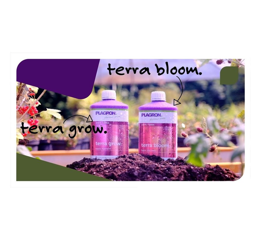 Plagron Terra Bloom Basisdünger 1 Liter