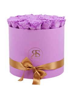Rosuz Flowerbox Longlife Aaliyah Violet