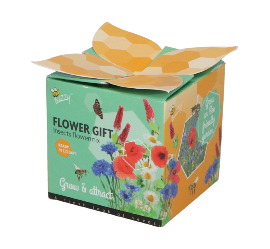 Buzzy Flower Gift Bienen und Schmetterlinge Blumenmischung