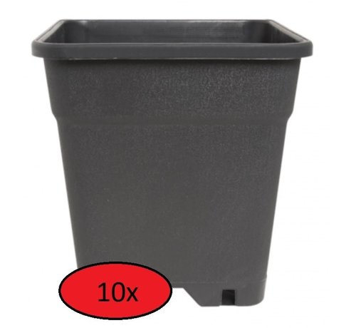 pack leider De eigenaar Kweekpot Vierkant 3.5 Liter 15x15 cm Zwart 10 Stuks » Raja Trading | The  Urban Garden Store