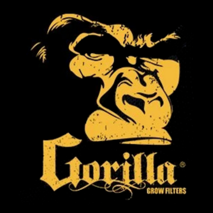 Gorilla Gorilla