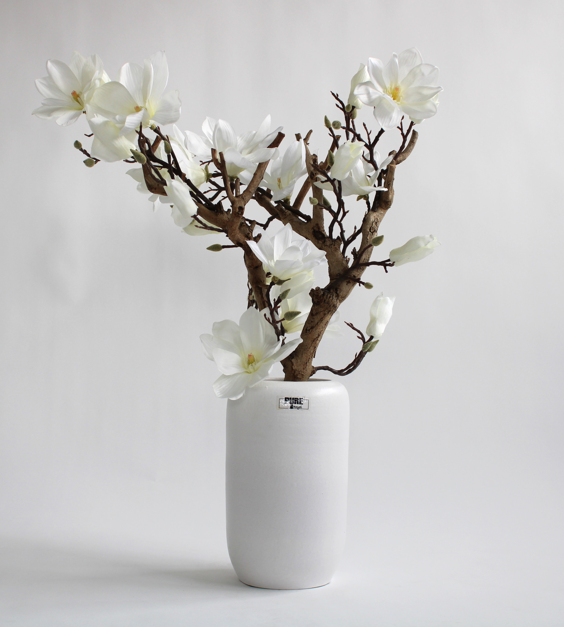 Malen Saai Verbazingwekkend Kleine magnolia boom maat S diverse kleuren - Blossom at home