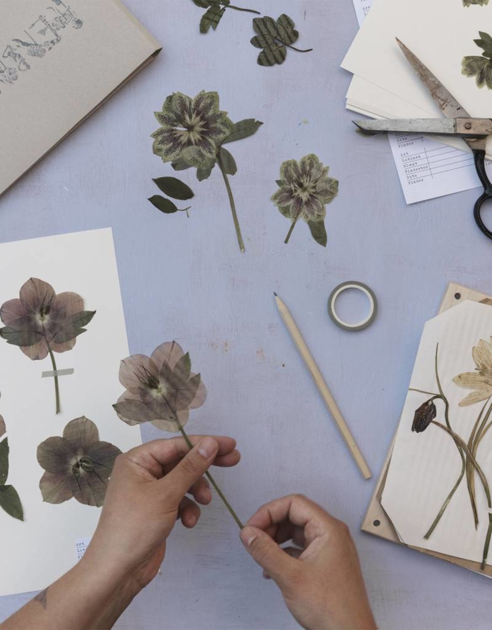 Kit company Flower press Kit