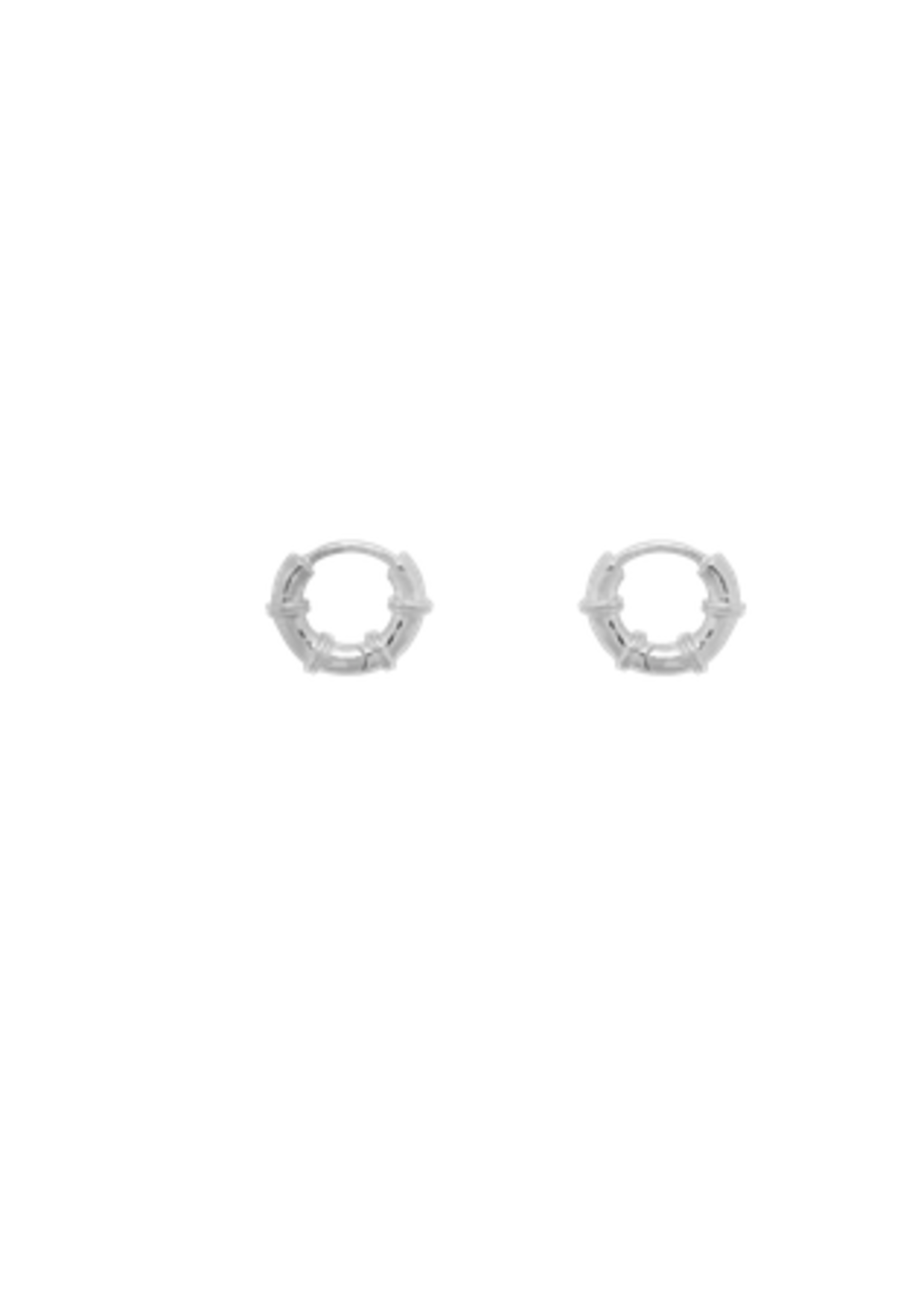 Anna + Nina Cable Ring Earrings Silver