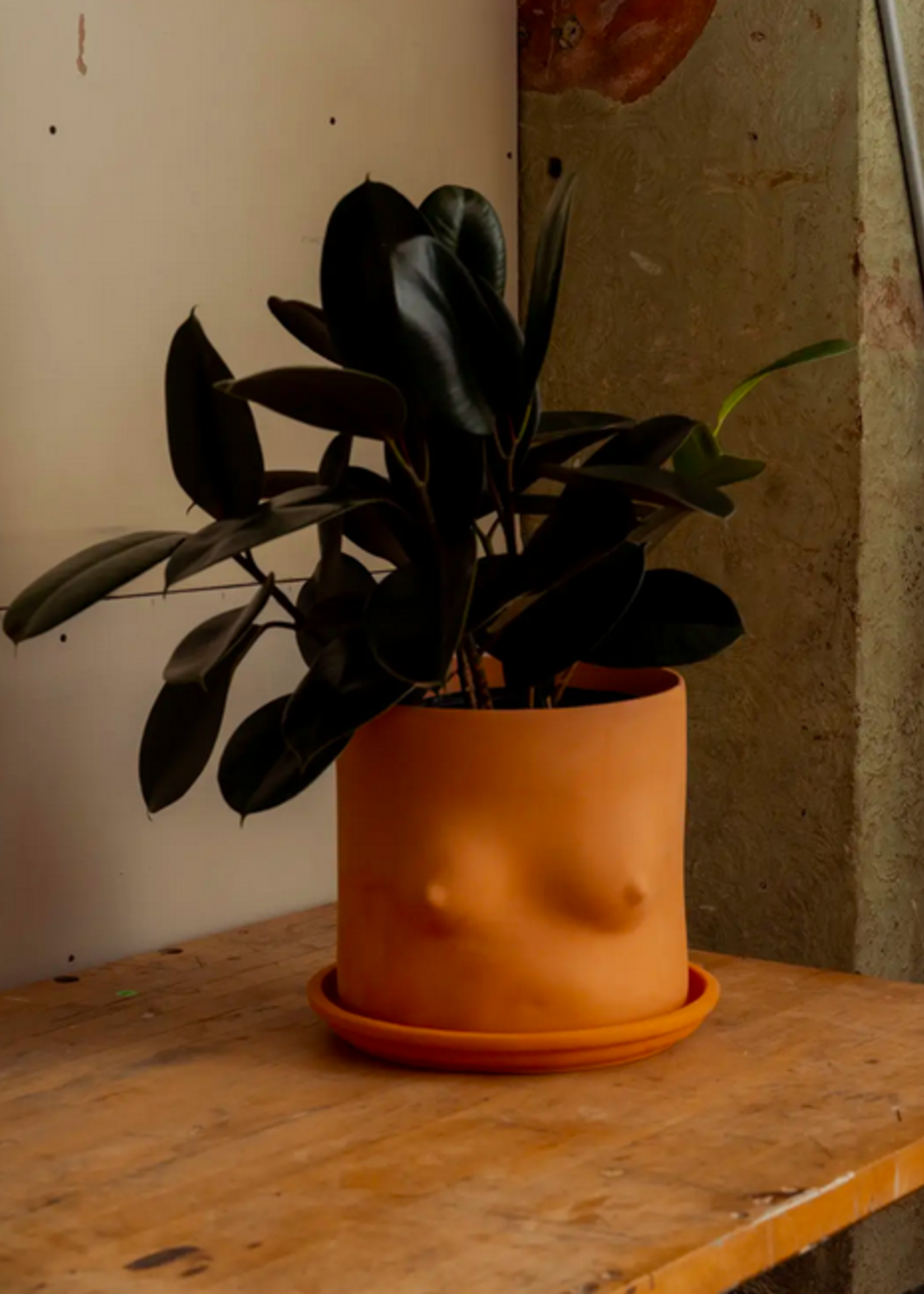 Group Partner Terracotta boob flower pot 21cm