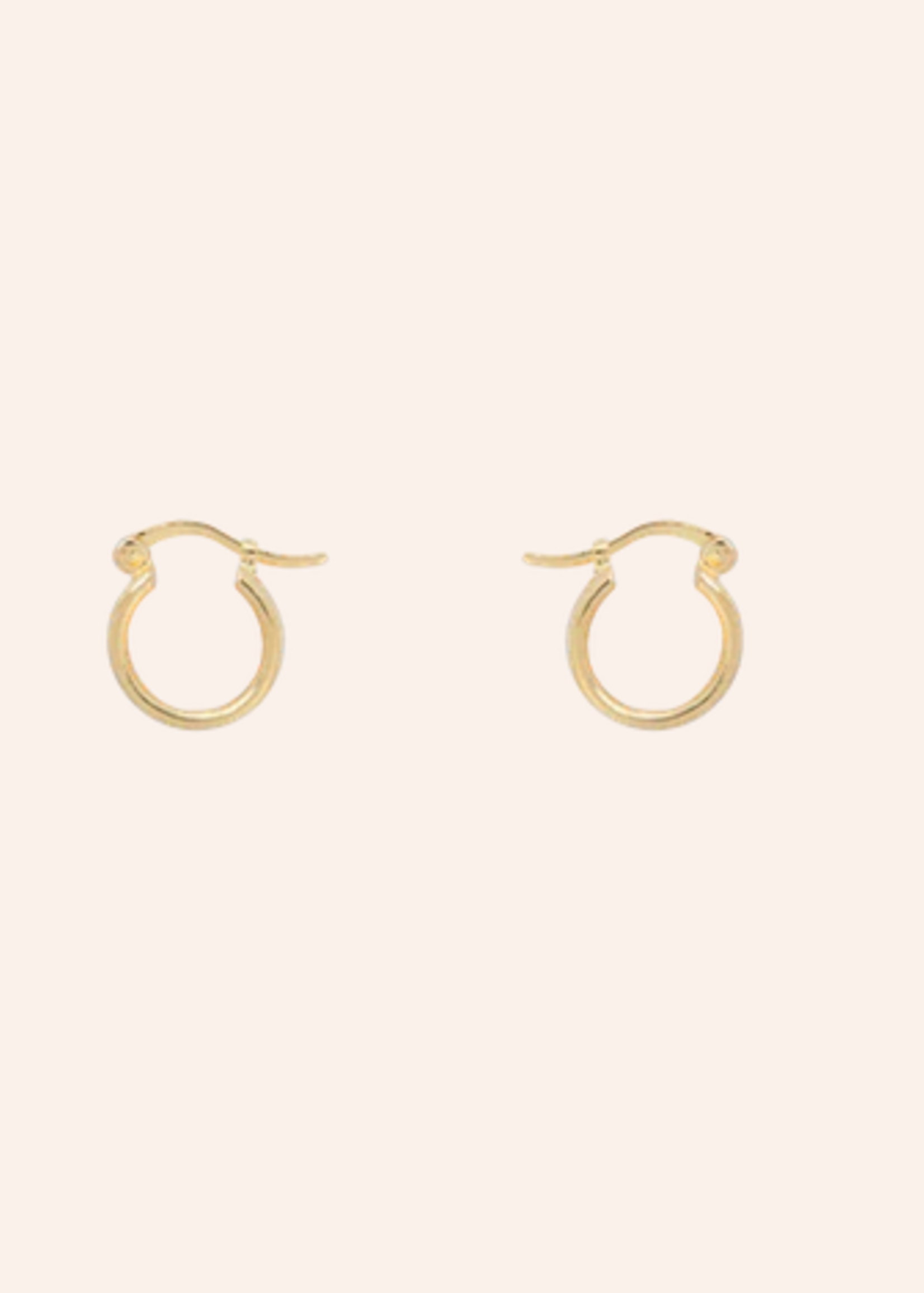 Anna + Nina Small Poetic Ring Earrings Goldplated