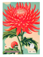 Wish Card Red Dahlia