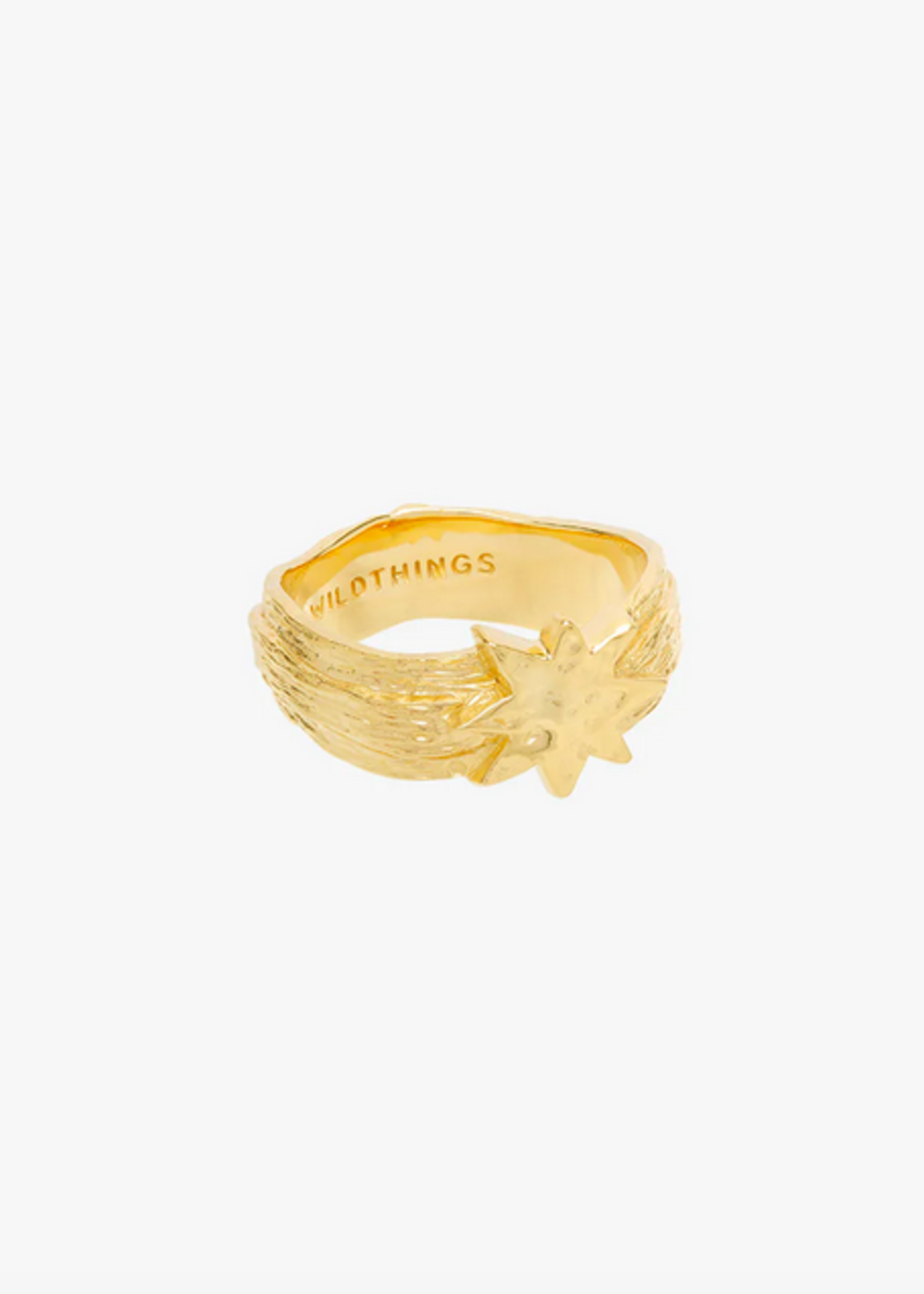 Wildthings Collectables Hammered star pinky ring gold plated (size 47)