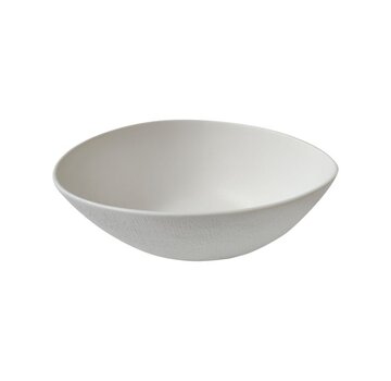 BRICARD PORCELAIN Bricard Sery Saladekom 25,4cm Mat Wit