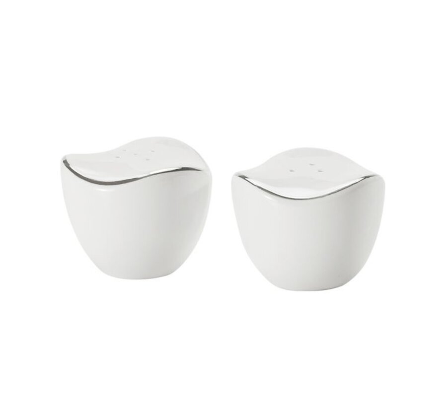 Bricard Porcelain Melun 6-Persoons | 27-Delig Serviesset Zilver