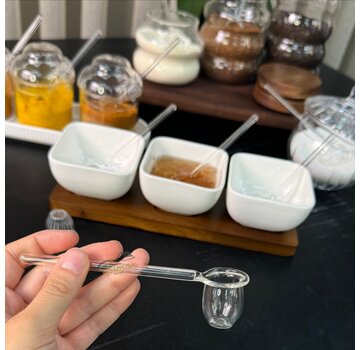BOROSILICAAT GLAZEN LEPEL