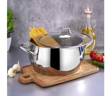 polochef Polochef proline RVS Derin Tencere - 20 cm