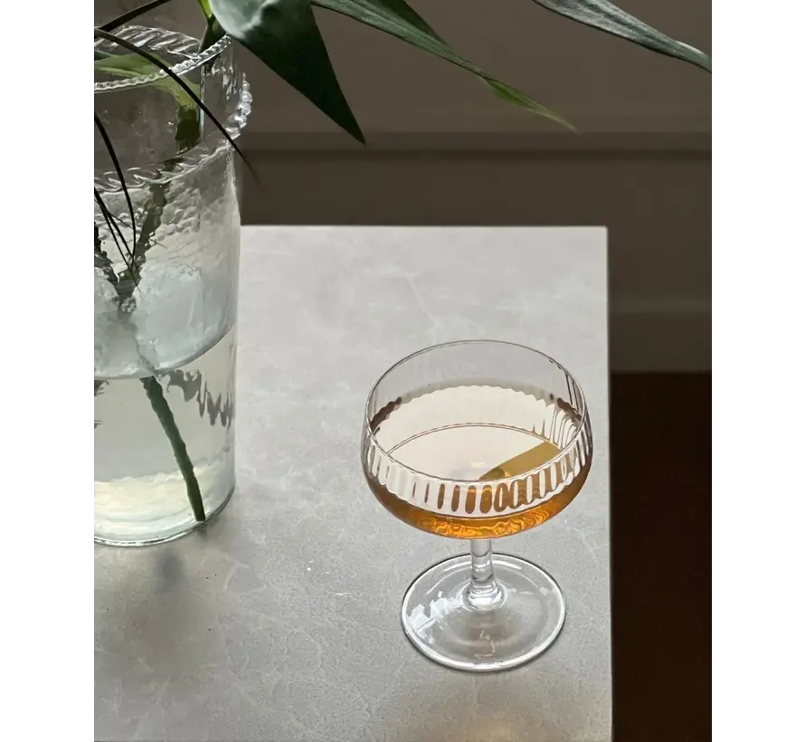 RAY COCTAILGLAS / IJSSCHAAL 2 DELIG 255 ML
