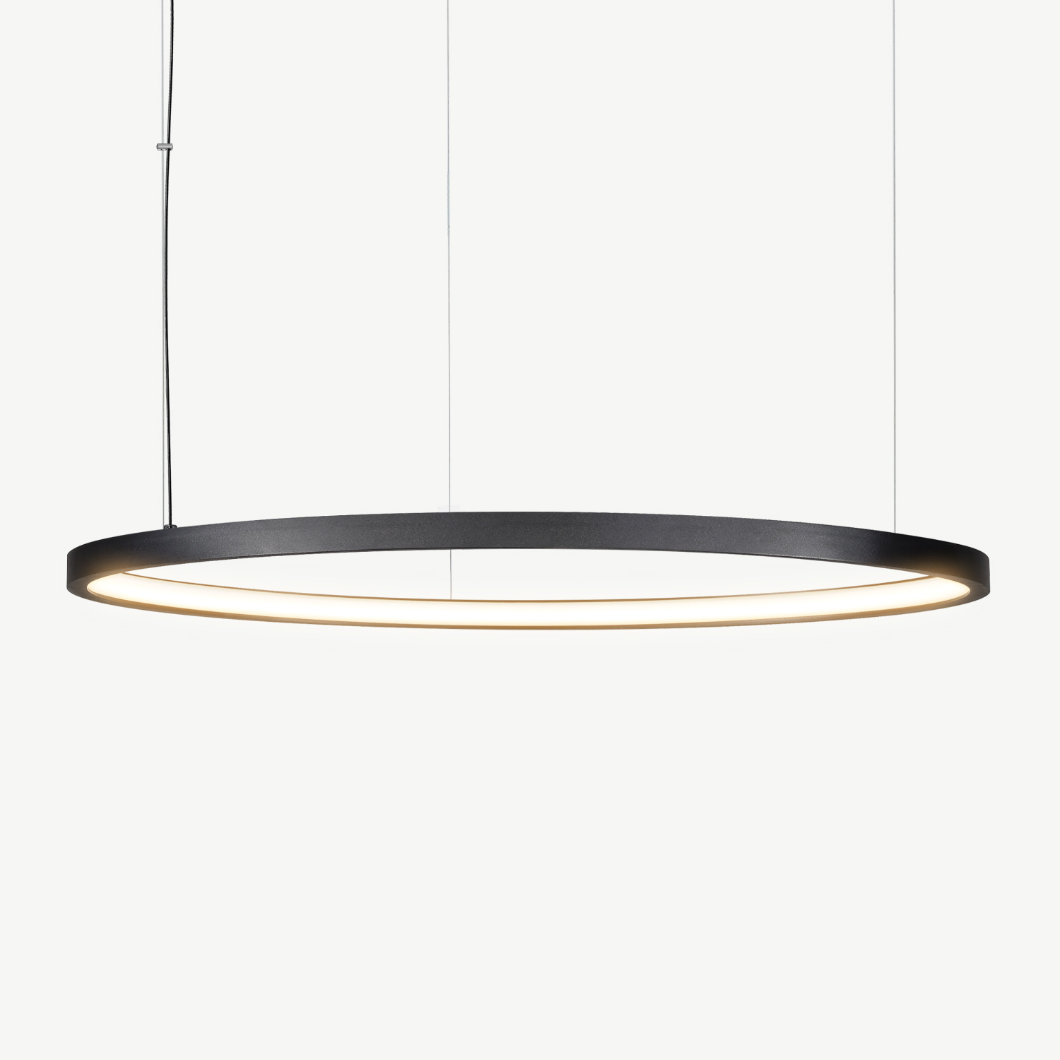 LED ring pendant lamp HALO ø1200 mm black Lightinova Professional