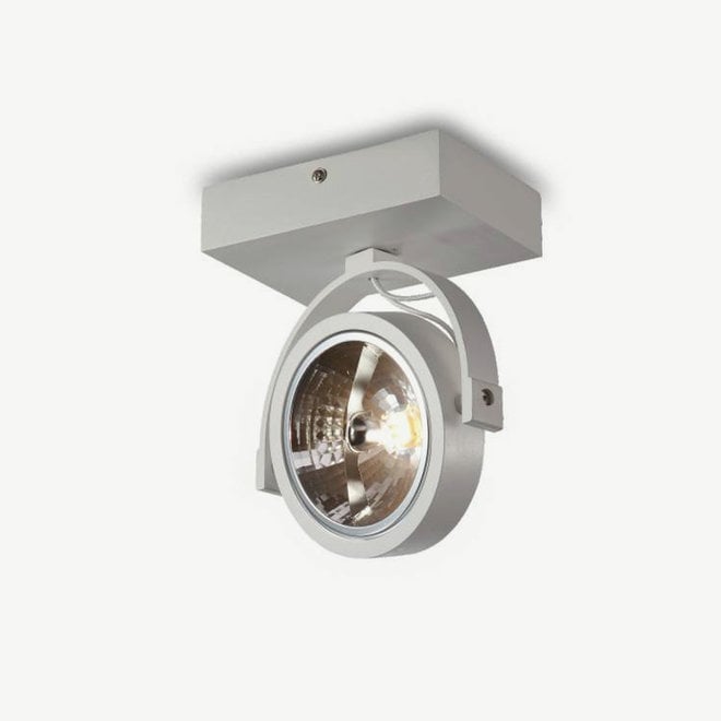 Wall / Ceiling spot BRANDON AR111 White