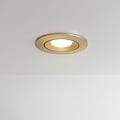 Recessed LED ceiling spot FLEXX tiltable round - inox - Lightinova - Professional  lighting