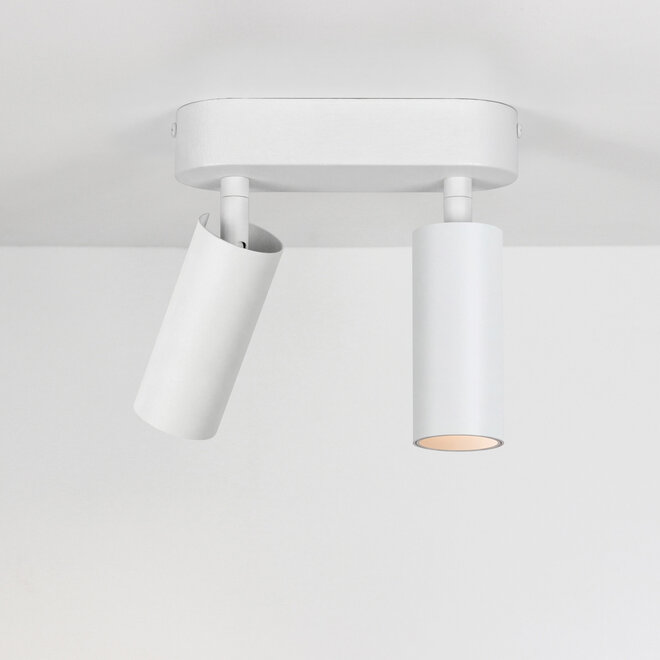 SPOT40 surface mounted adjustable LED spot Double - White