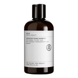 Evolve Organic Beauty Superfood Shine Shampoo