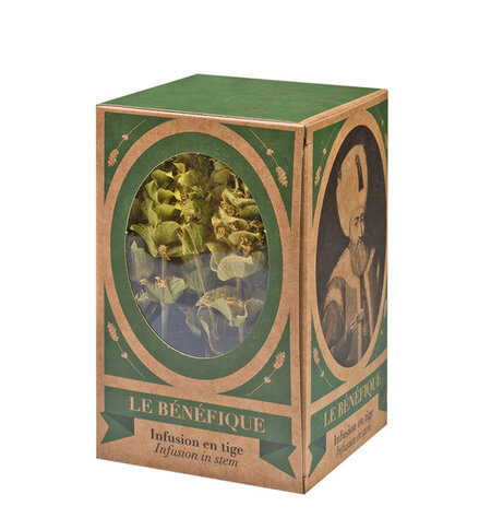 Le Bénéfique Infusion en Tige  - Sauge