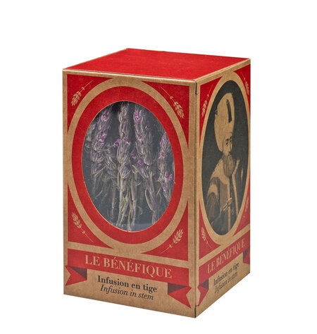 Le Bénéfique Infusion en Tige  - Thym