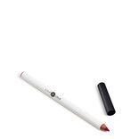 Lily Lolo Pinceau à Lèvres