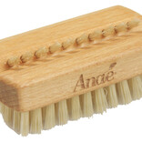 Brosse à Ongles