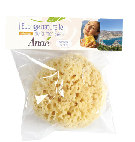 Anaé Grande Eponge de Mer