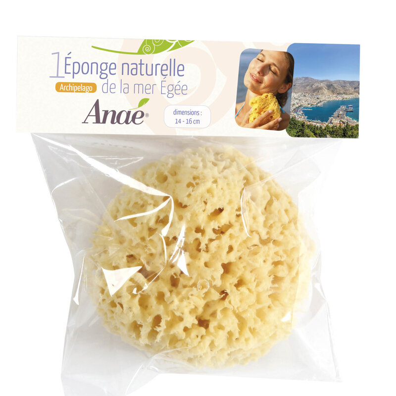 Anaé Grande Eponge de Mer