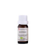 Bioflore Huile Essentielle de Ravintsara