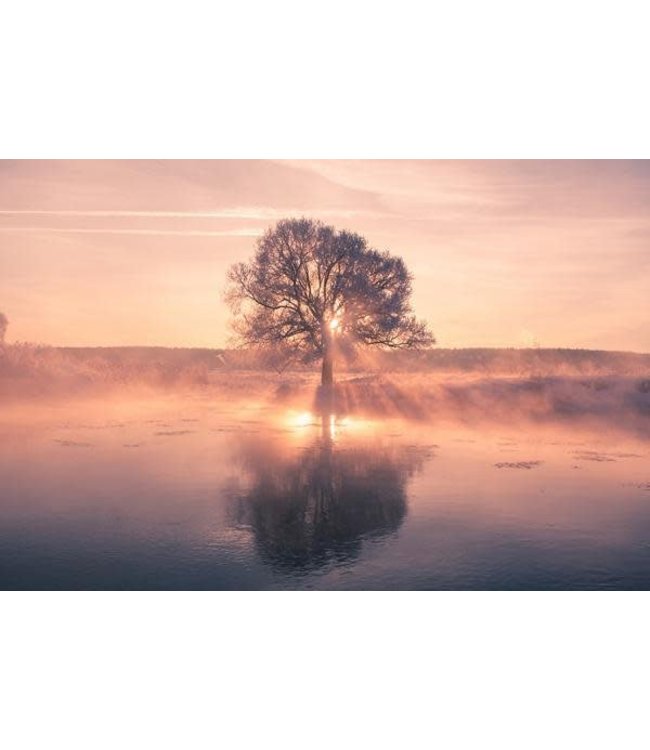 Albero al Tramonto con Riflesso Stampa Digitale Vetro Acrilico L120xA80cm