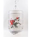 Chinese Bird Cage Pendant Lamp W53xD53xH96cm