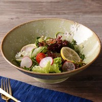 Japanese Tableware Soshun Glossy Cosmos Green - Salad Bowl 24.5x8cm